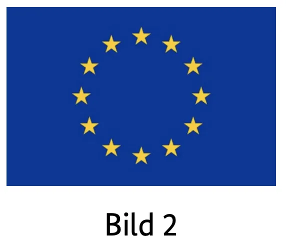 Antwortmöglichkeit B — Frage 226